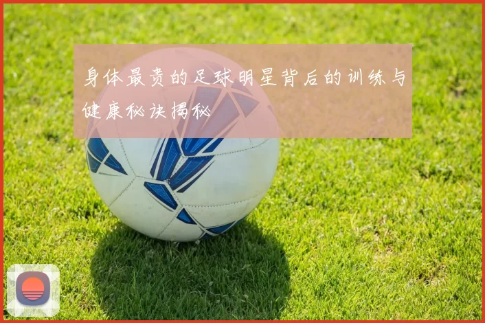 身体最贵的足球明星背后的训练与健康秘诀揭秘