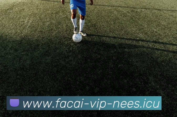 华体会体育APP 封面图